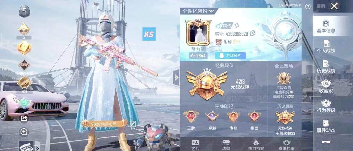 和平精英外挂透视和武器的结合
