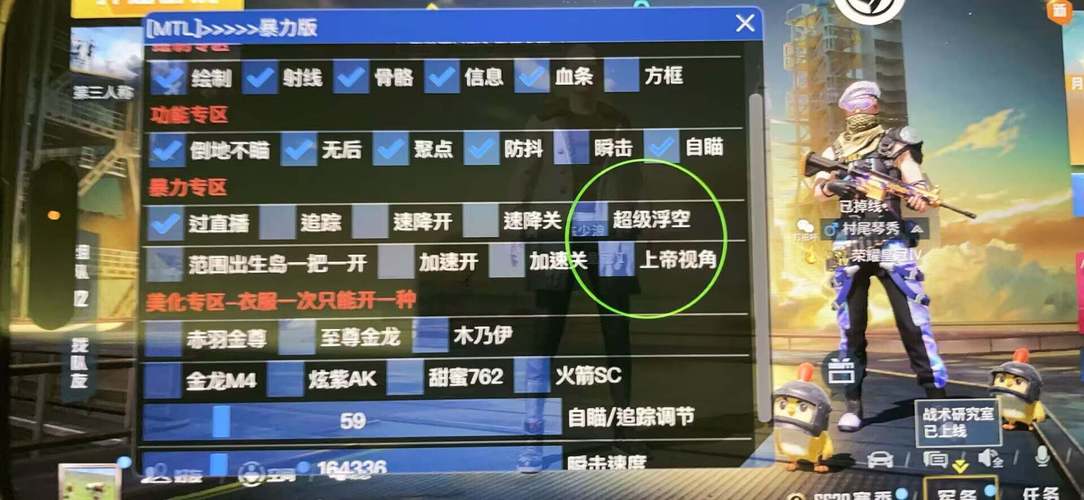 透视功能与和平精英武器选择：制胜之道